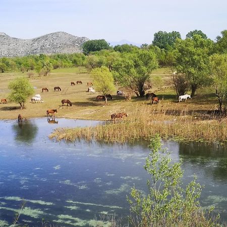 Wild Beauty House Skadar Lake Cetinje Exterior foto